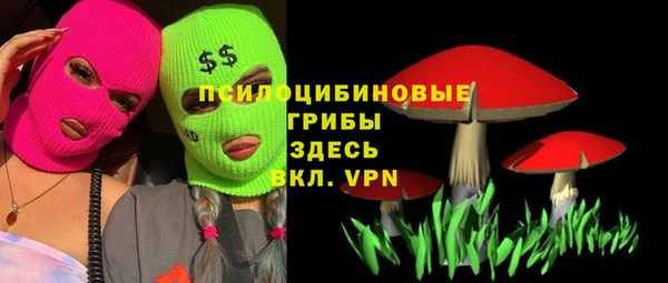 меф Дмитровск