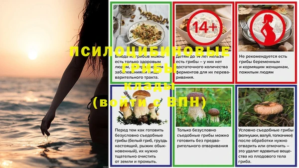 меф Дмитровск
