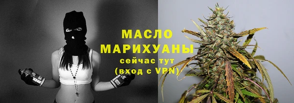 меф Дмитриев
