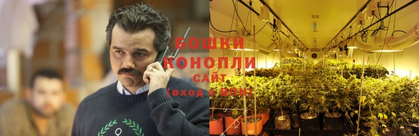 меф Дмитриев