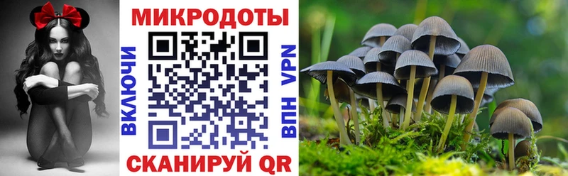 Псилоцибиновые грибы MAGIC MUSHROOMS наркота Сергач